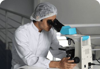 Collection of herbal medicine bottles and natural remedies