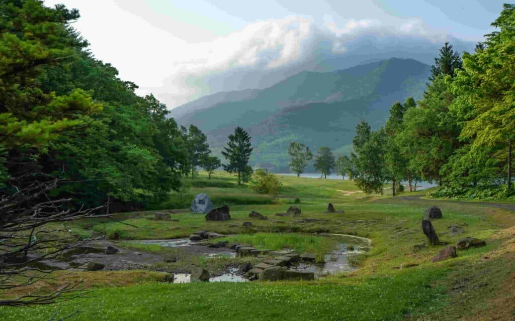 Engineered exosomes : overcoming delivery limitations